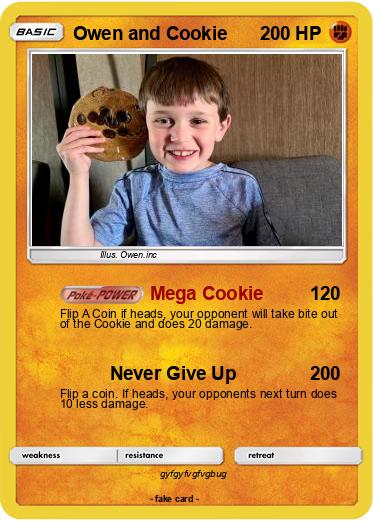 Pokemon Owen and Cookie