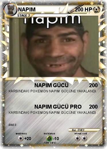 Pokemon NAPIM