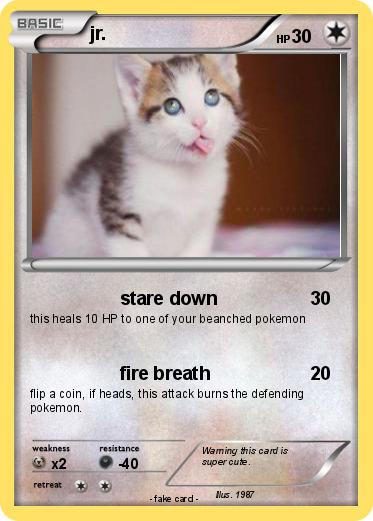 Pokemon jr.