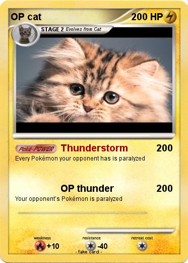 Pokemon OP cat
