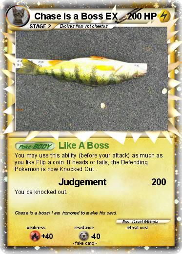Pokemon Chase is a Boss EX