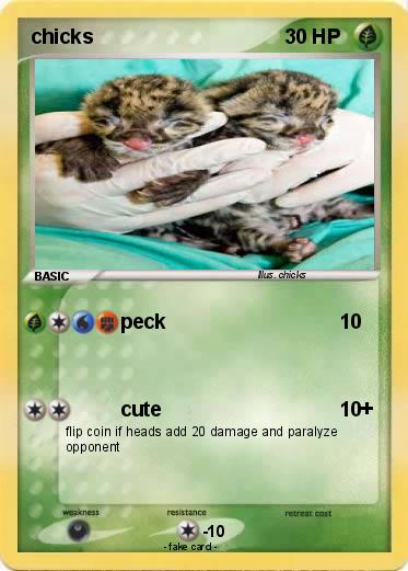 Pokemon chicks