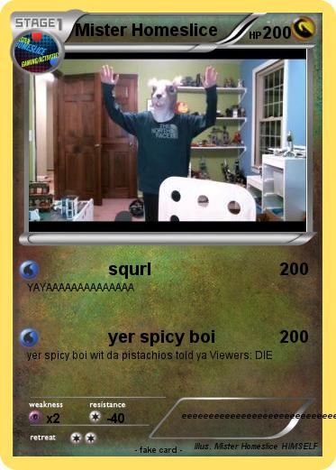 Pokemon Mister Homeslice