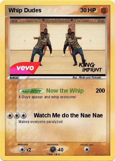 Pokemon Whip Dudes