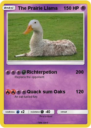 Pokemon The Prairie Llama