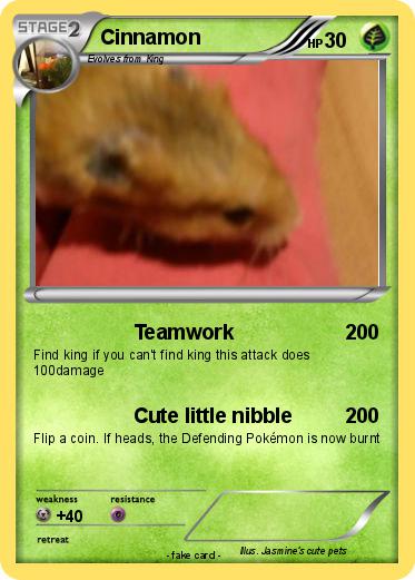 Pokemon Cinnamon