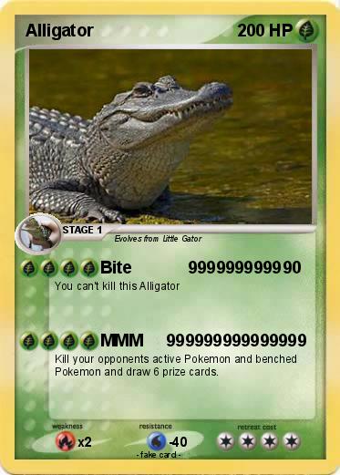 Pokemon Alligator