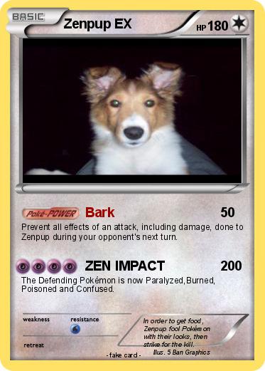 Pokemon Zenpup EX
