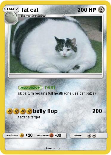 Pokemon fat cat