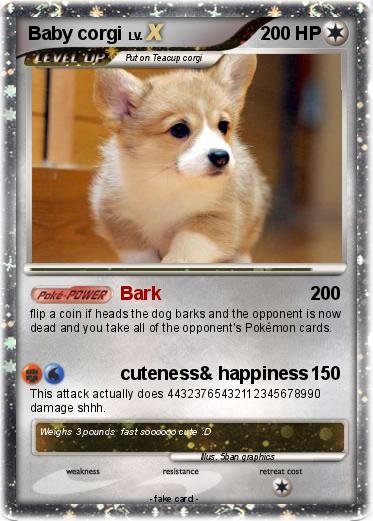 Pokemon Baby corgi