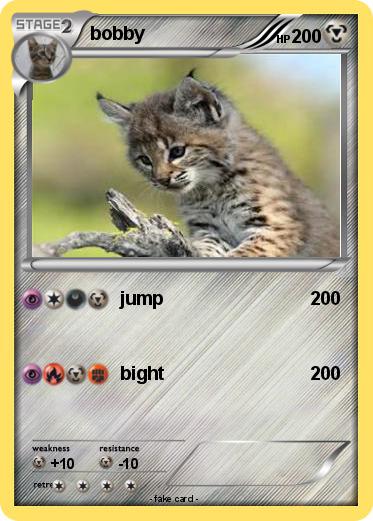 Pokemon bobby