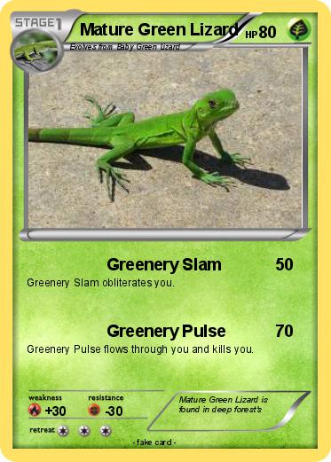 Pokemon Mature Green Lizard