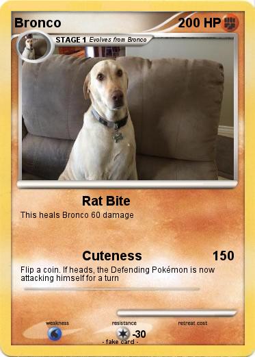 Pokemon Bronco