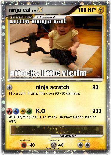 Pokemon ninja cat