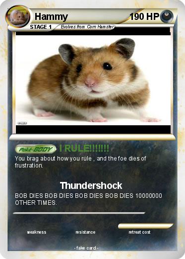 Pokemon Hammy