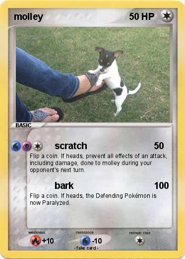 Pokemon molley