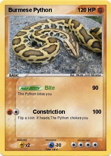 Pokemon Burmese Python