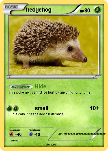 Pokemon hedgehog