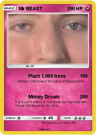 Pokemon Mr BEAST