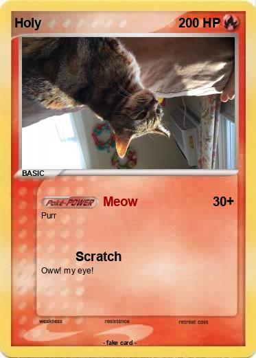 Pokemon Holy
