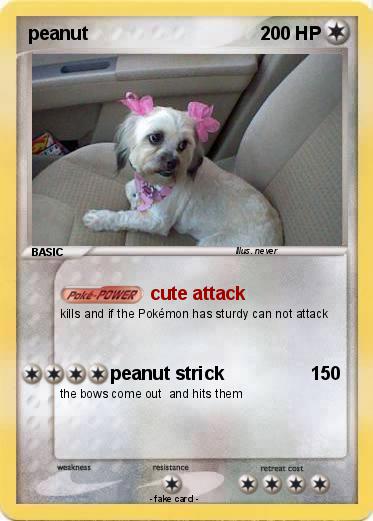Pokemon peanut