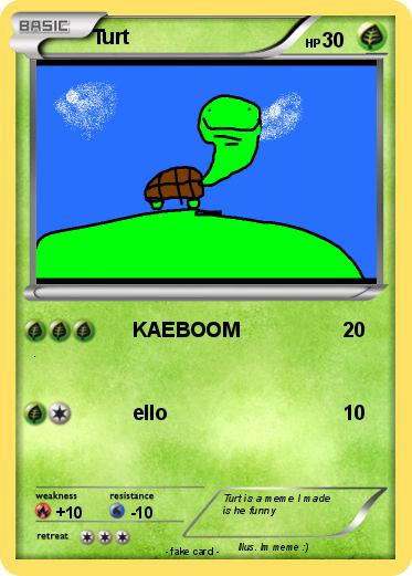 Pokemon Turt