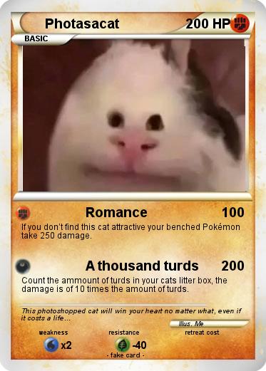 Pokemon Photasacat