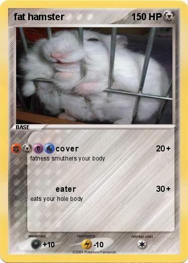 Pokemon fat hamster