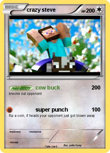 Pokemon crazy steve