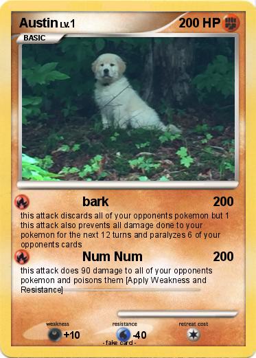Pokemon Austin