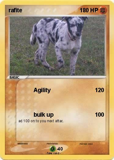 Pokemon rafite