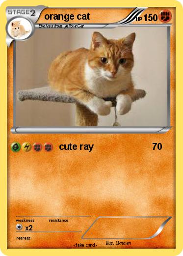 Pokemon orange cat