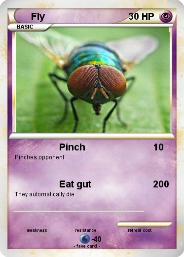 Pokemon Fly