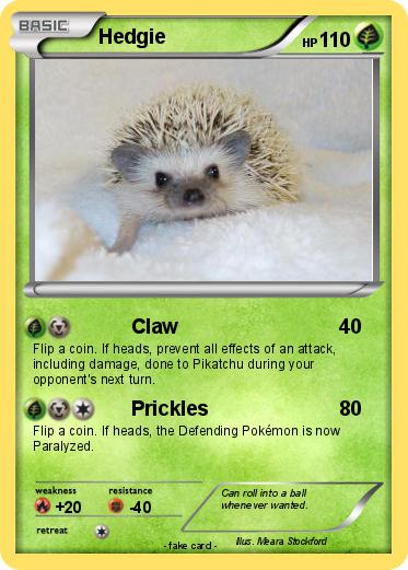 Pokemon Hedgie