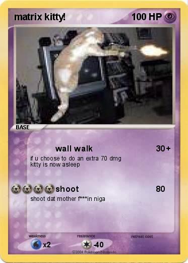 Pokemon matrix kitty!