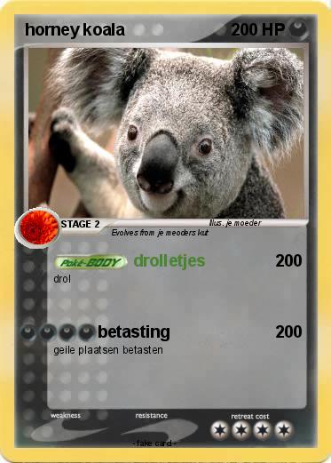 Pokemon horney koala