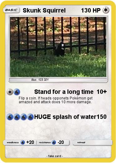 Pokemon Skunk Squirrel