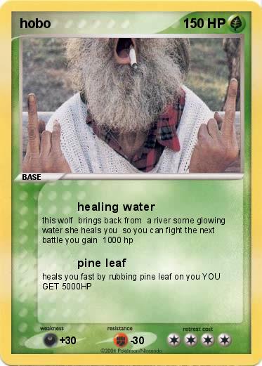 Pokemon hobo