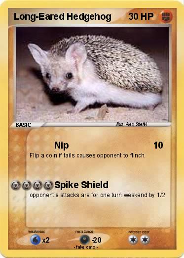 Pokemon Long-Eared Hedgehog