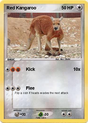Pokemon Red Kangaroo