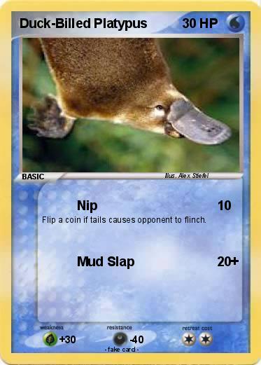 Pokemon Duck-Billed Platypus