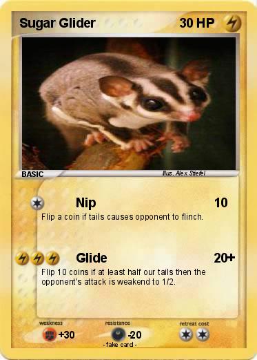 Pokemon Sugar Glider