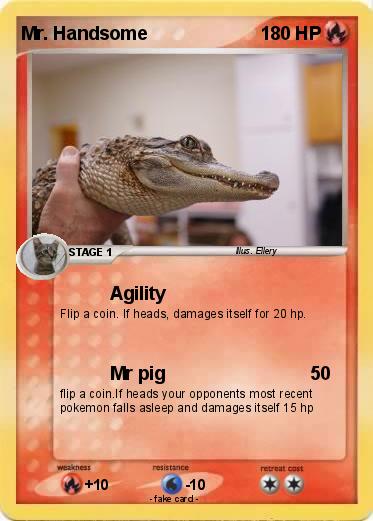 Pokemon Mr. Handsome