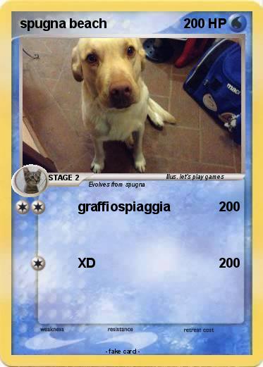 Pokemon spugna beach