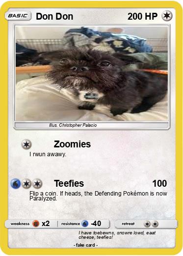 Pokemon Don Don