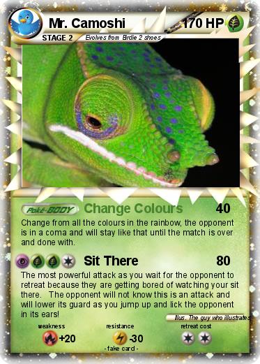 Pokemon Mr. Camoshi