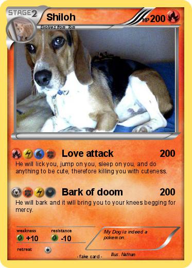 Pokemon Shiloh