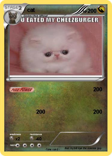 Pokemon cat