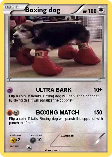 Pokemon Boxing dog