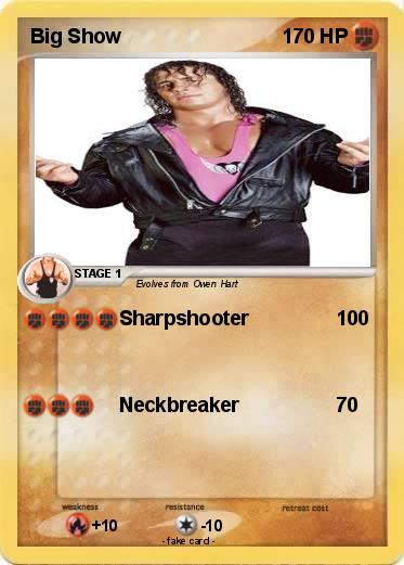 Pokemon Big Show